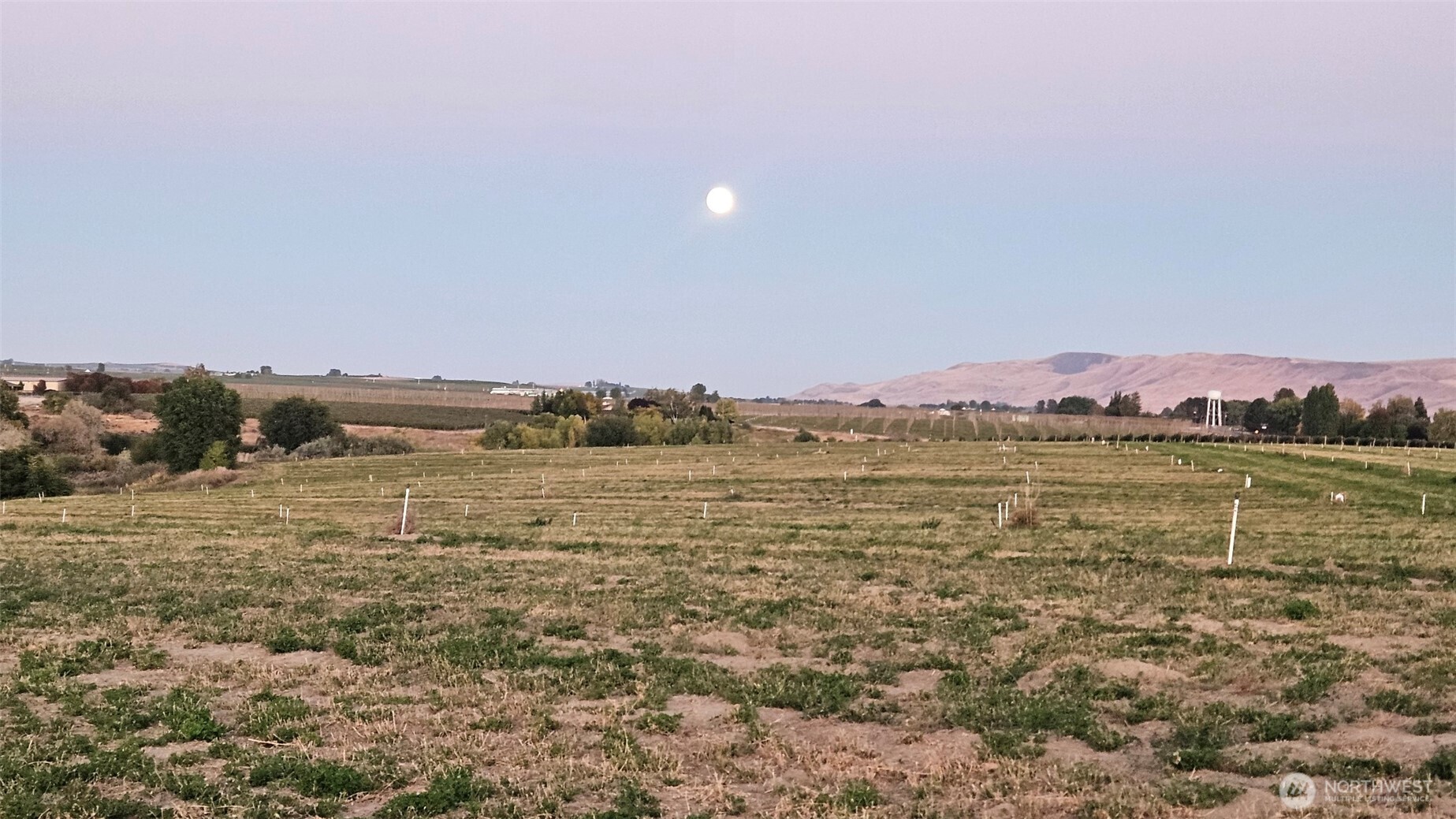 125498 W McCreadie , Prosser, WA 99350