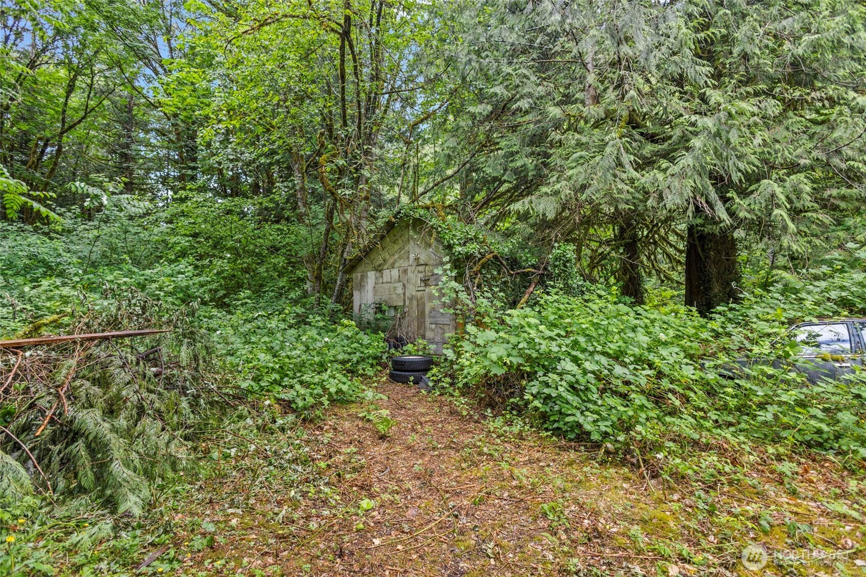 57174 State Route 20 , Rockport, WA 98283