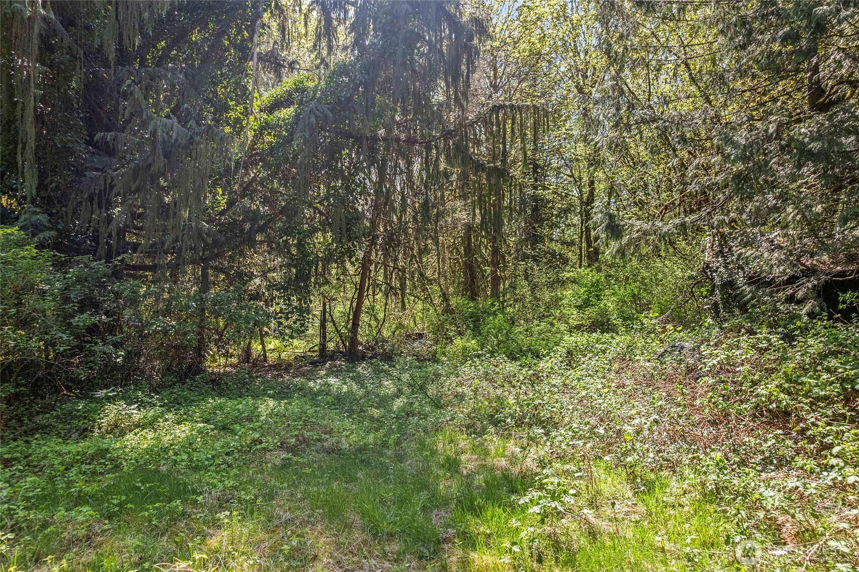 57174 State Route 20 , Rockport, WA 98283