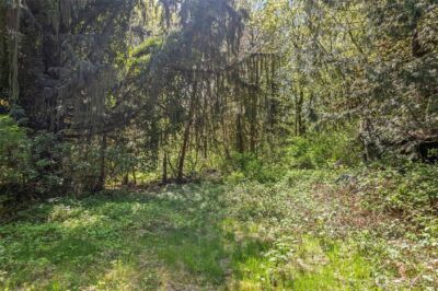 57174 State Route 20 , Rockport, WA 98283 - Photo 9