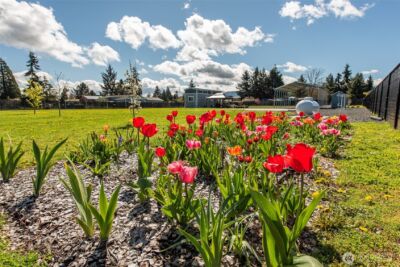 82 Williamson Road , Sequim, WA 98382 - Photo 39