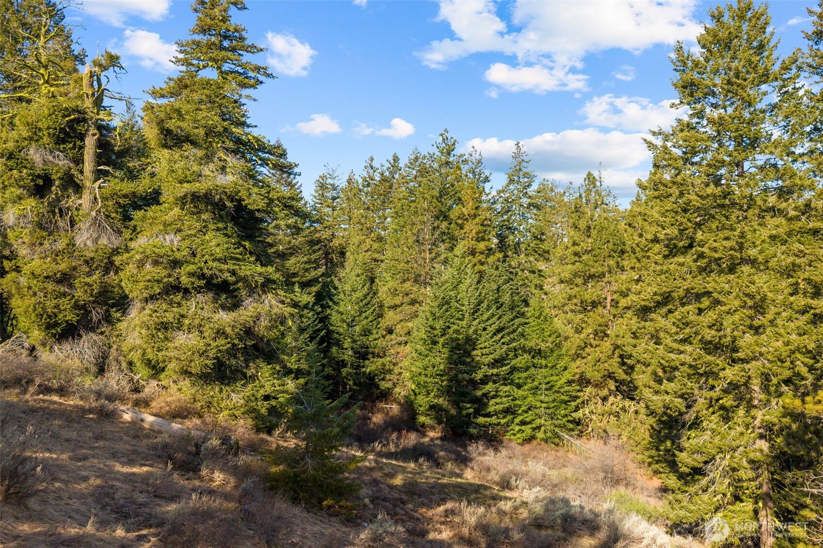 104 Yarrow Lane , East Wenatchee, WA 98802