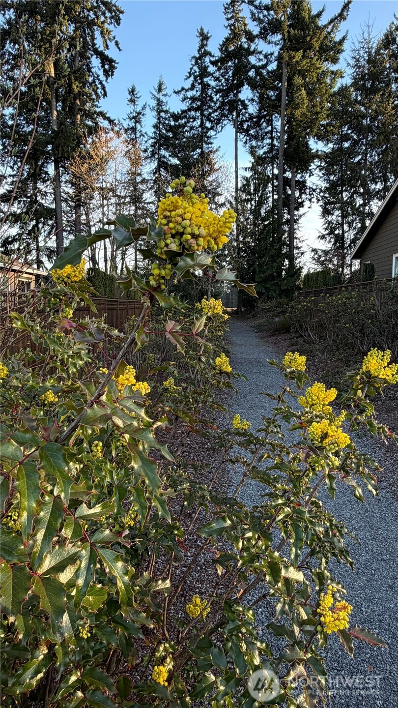 18914 146th Street E, Bonney Lake, WA 98391