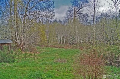 7871 W Shelton Matlock Road , Shelton, WA 98584 - Photo 12