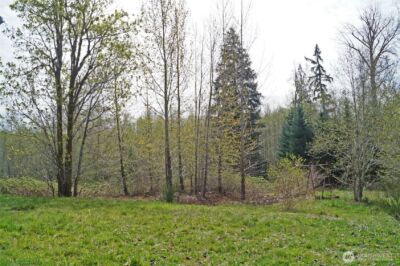 7871 W Shelton Matlock Road , Shelton, WA 98584 - Photo 2