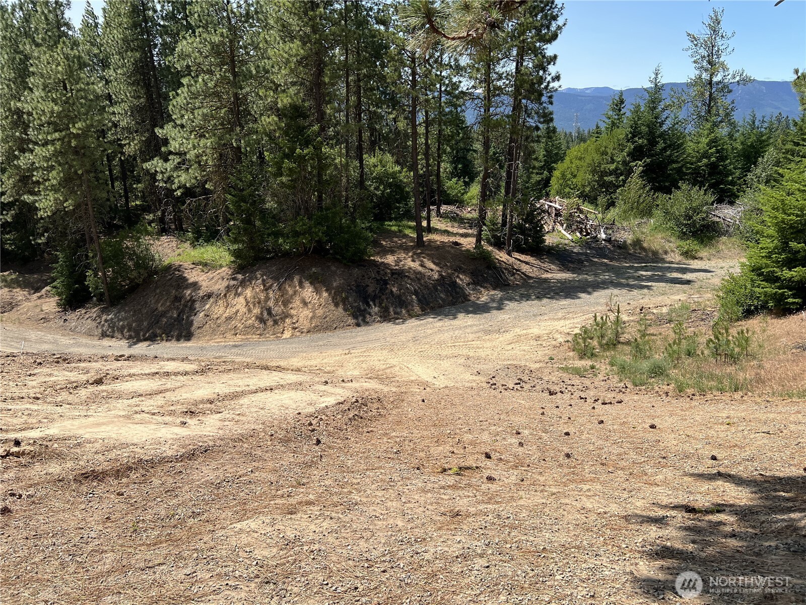 1571 Summit View Road , Cle Elum, WA 98922