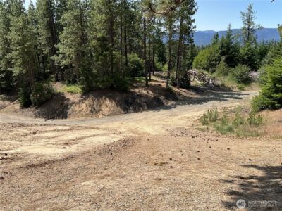 1571 Summit View Road , Cle Elum, WA 98922 - Photo 11
