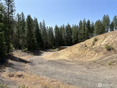 1571 Summit View Road , Cle Elum, WA 98922 - Photo 13