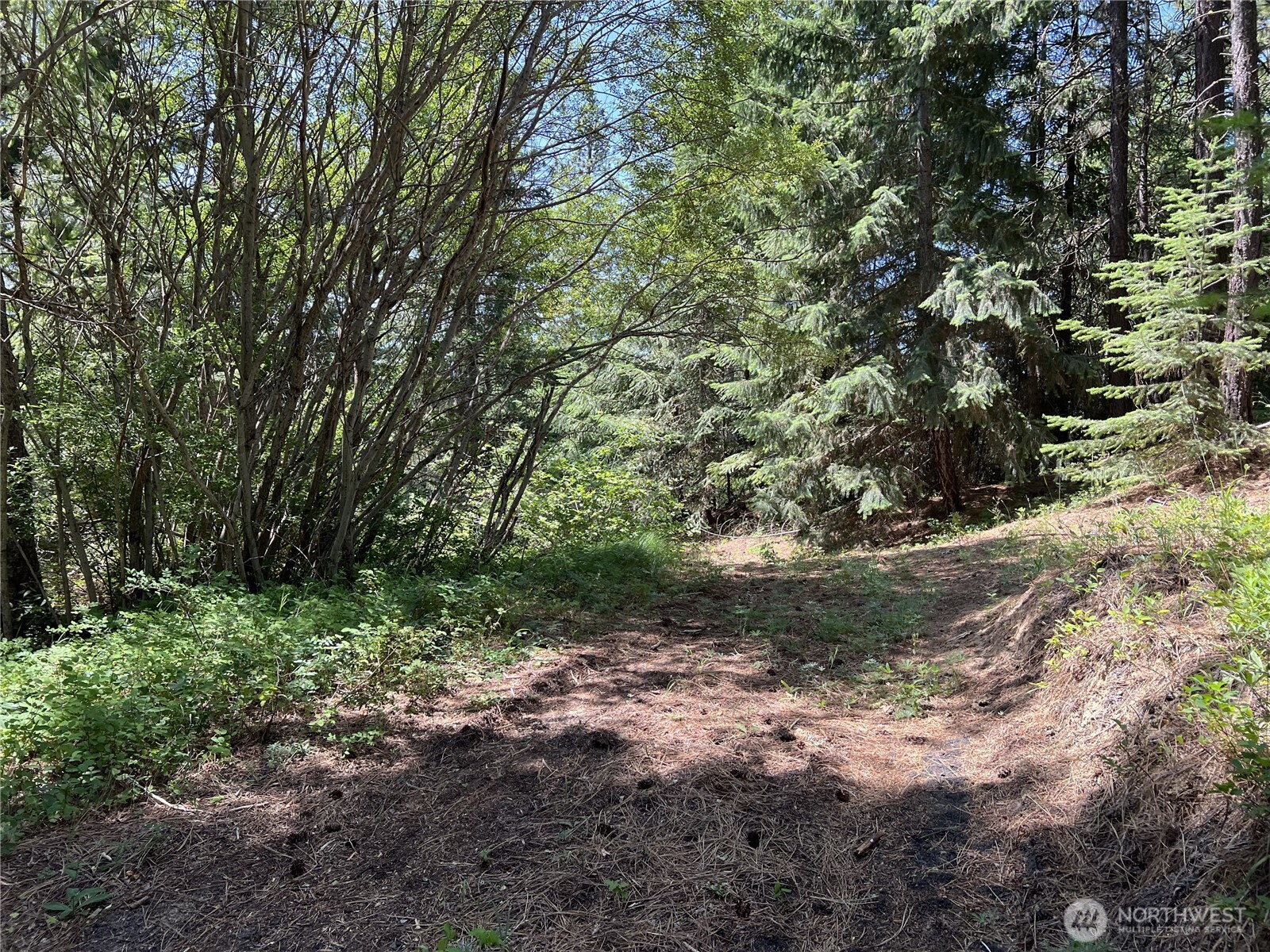 1571 Summit View Road , Cle Elum, WA 98922