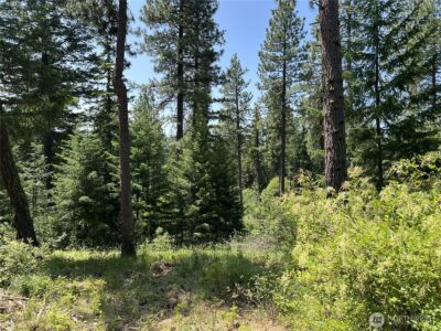 1571 Summit View Road , Cle Elum, WA 98922 - Photo 17