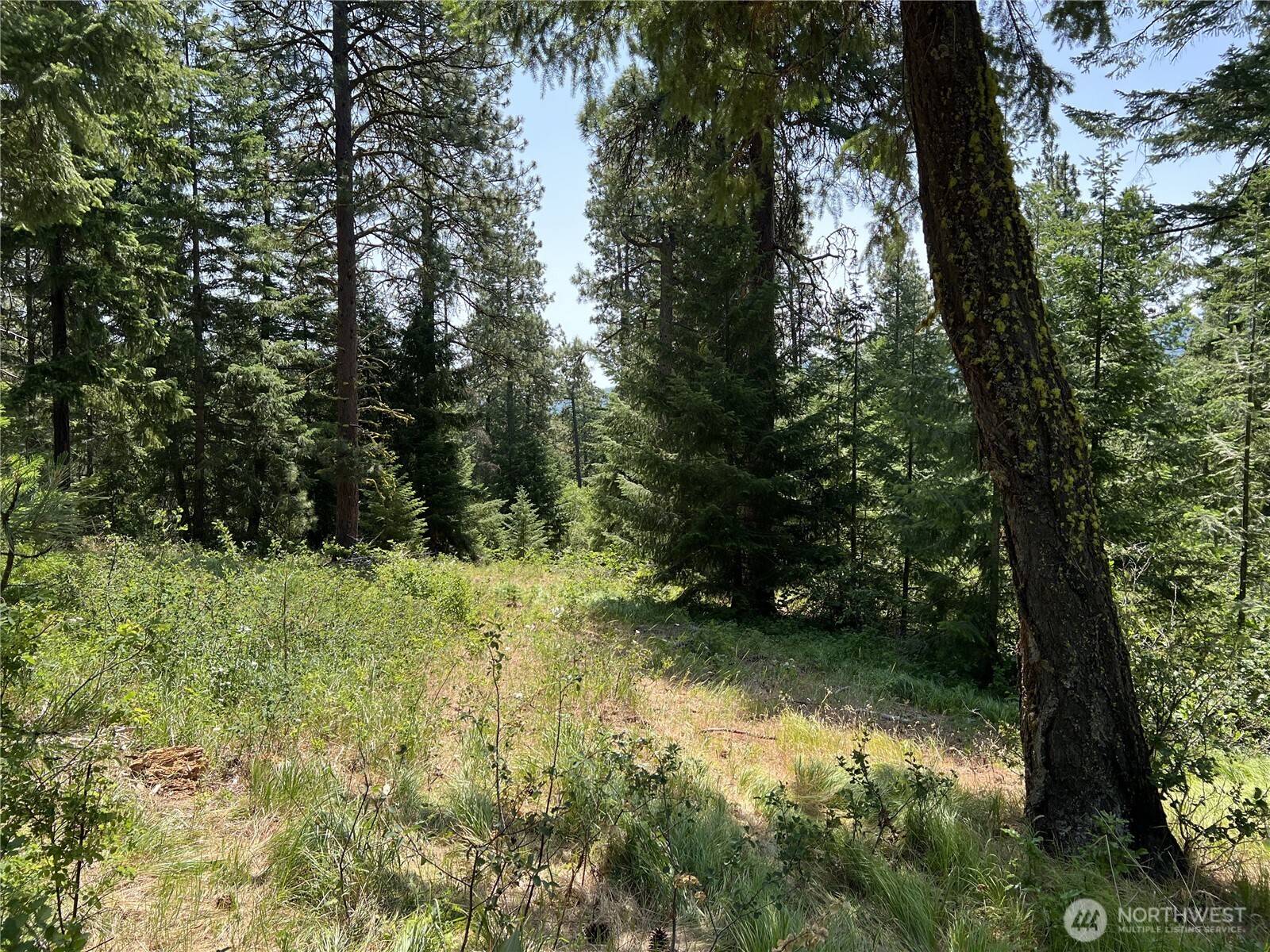 1571 Summit View Road , Cle Elum, WA 98922