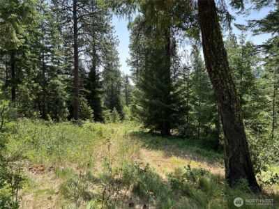 1571 Summit View Road , Cle Elum, WA 98922 - Photo 18