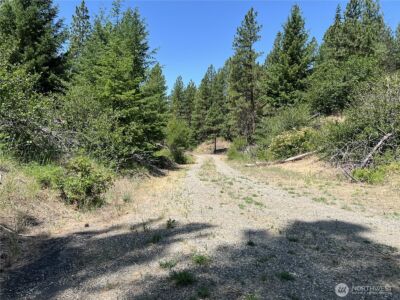 1571 Summit View Road , Cle Elum, WA 98922 - Photo 19