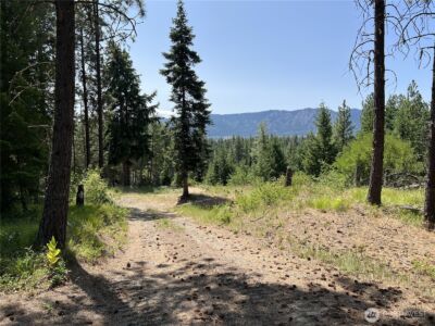 1571 Summit View Road , Cle Elum, WA 98922 - Photo 2