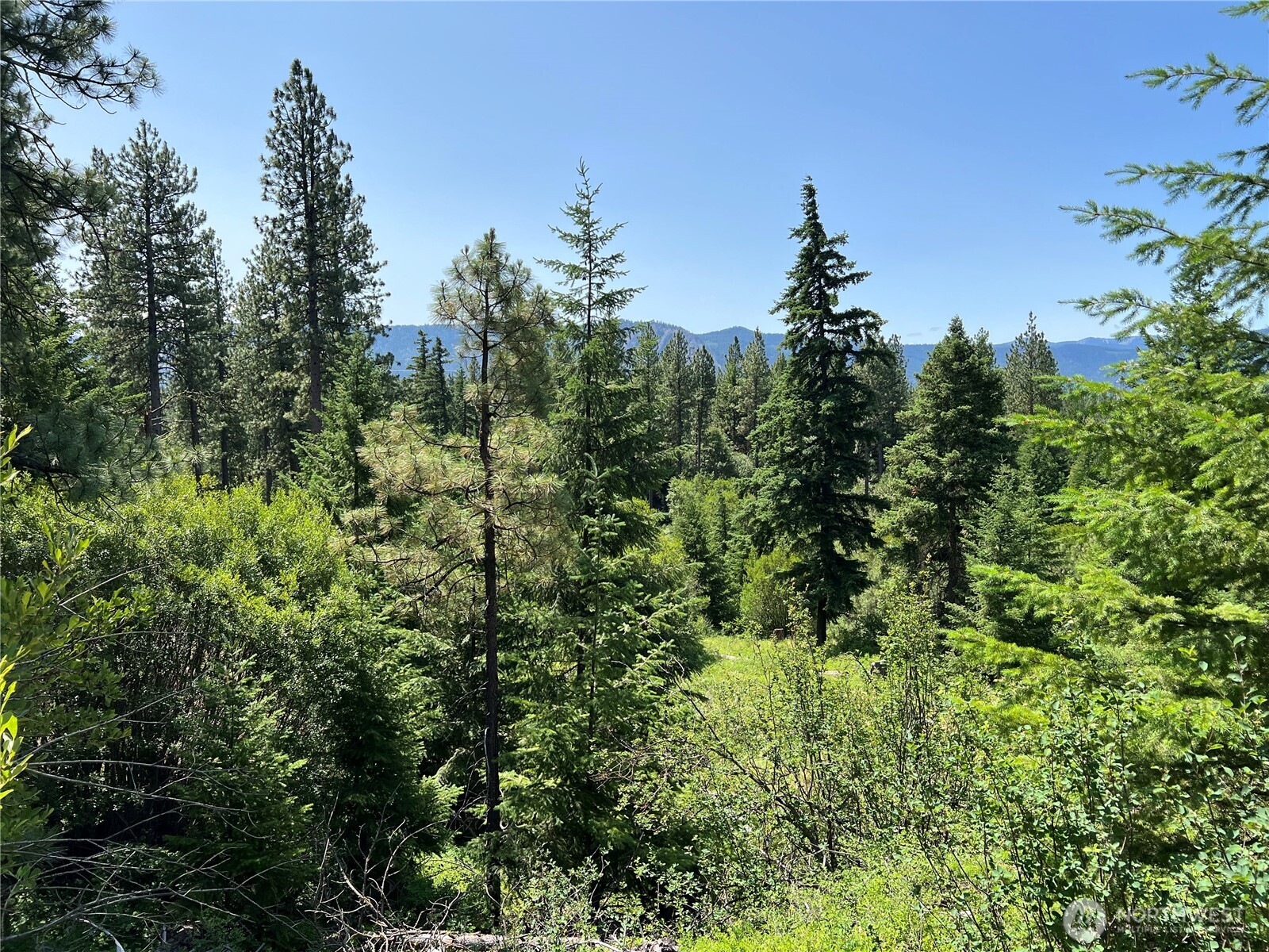 1571 Summit View Road , Cle Elum, WA 98922