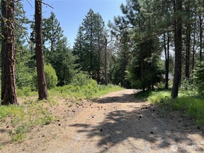 1571 Summit View Road , Cle Elum, WA 98922 - Photo 4