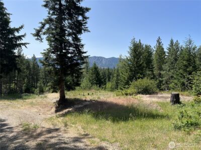 1571 Summit View Road , Cle Elum, WA 98922 - Photo 5