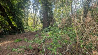 5263 21St Avenue SW, Seattle, WA 98106