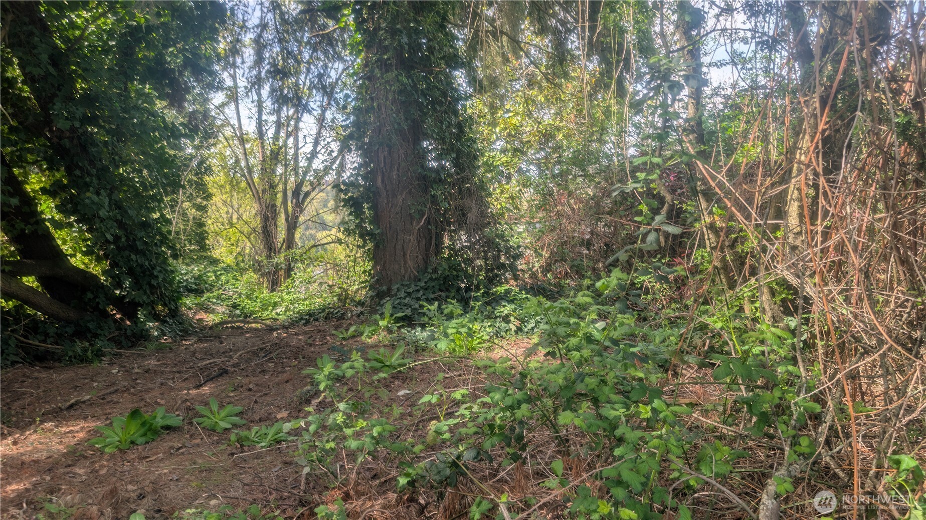 5263 21St Avenue SW, Seattle, WA 98106