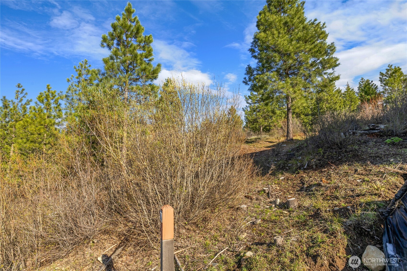391 Big Hill Drive , Cle Elum, WA 98922