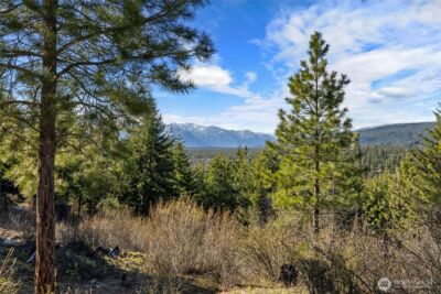 391 Big Hill Drive , Cle Elum, WA 98922 - Photo 8