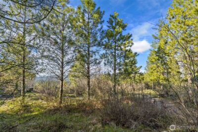 391 Big Hill Drive , Cle Elum, WA 98922 - Photo 9