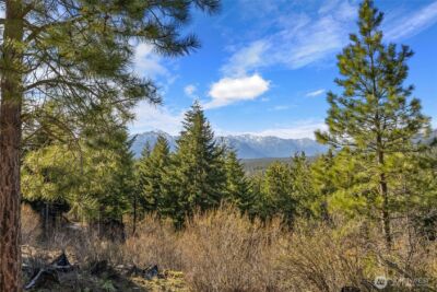 391 Big Hill Drive , Cle Elum, WA 98922 - Photo 10