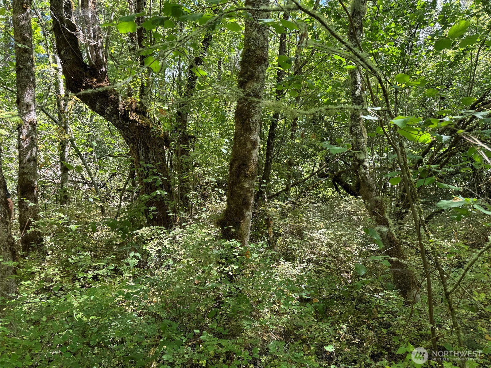 0 Chuckawa Lane SE , Yelm, WA 98597