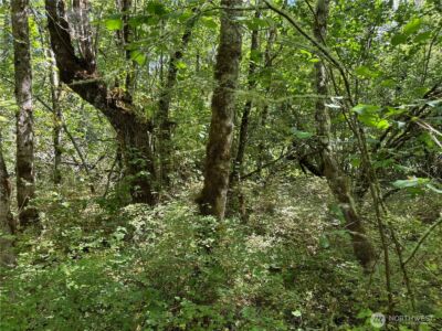 0 Chuckawa Lane SE , Yelm, WA 98597