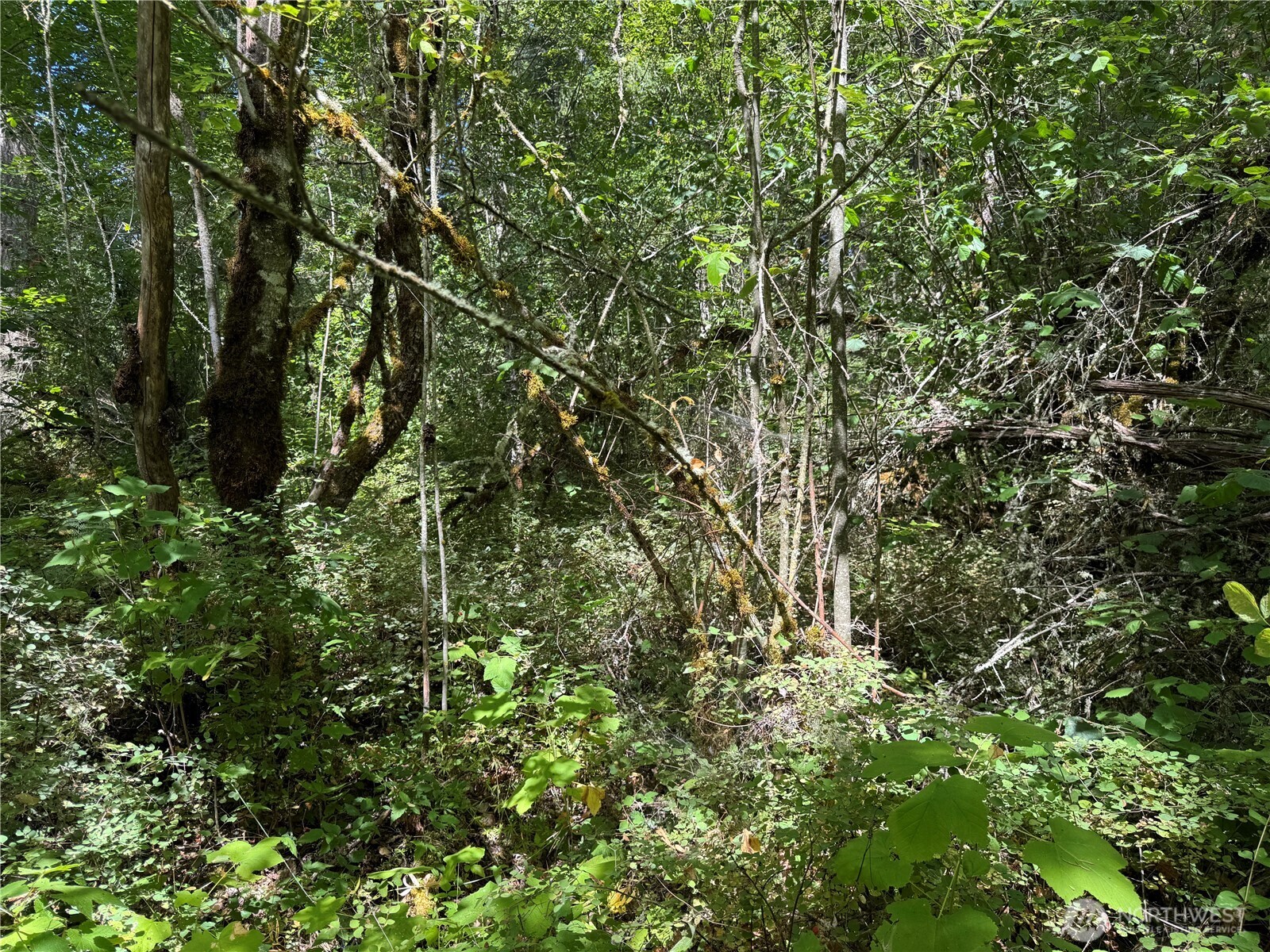 0 Chuckawa Lane SE , Yelm, WA 98597