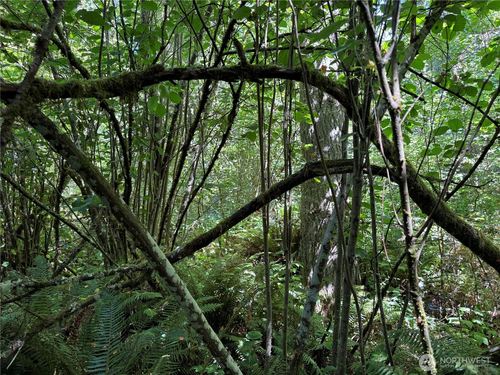 0 Chuckawa Lane SE , Yelm, WA 98597