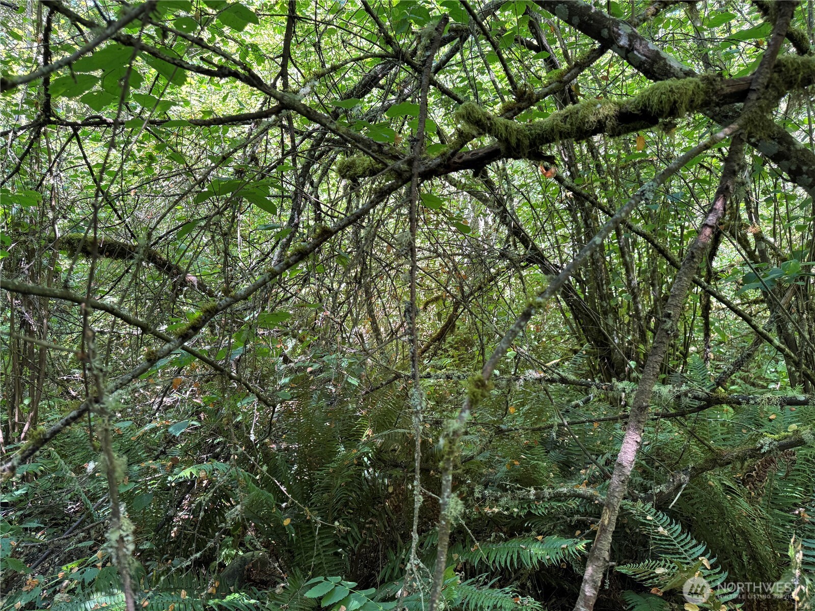 0 Chuckawa Lane SE , Yelm, WA 98597