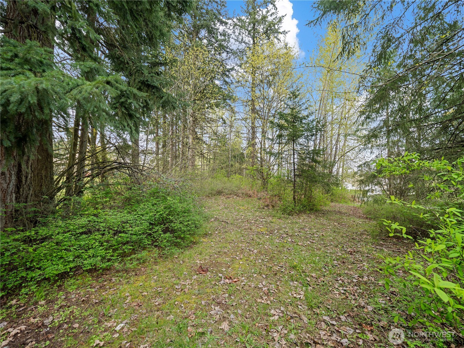 5201 Katherine Avenue SE, Auburn, WA 98092