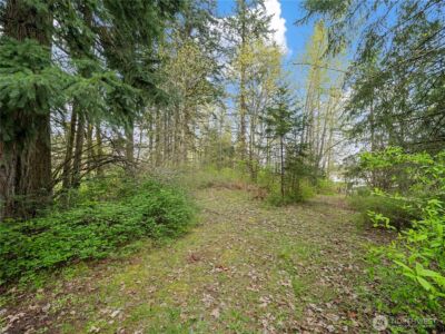 5201 Katherine Avenue SE, Auburn, WA 98092 - Photo 36