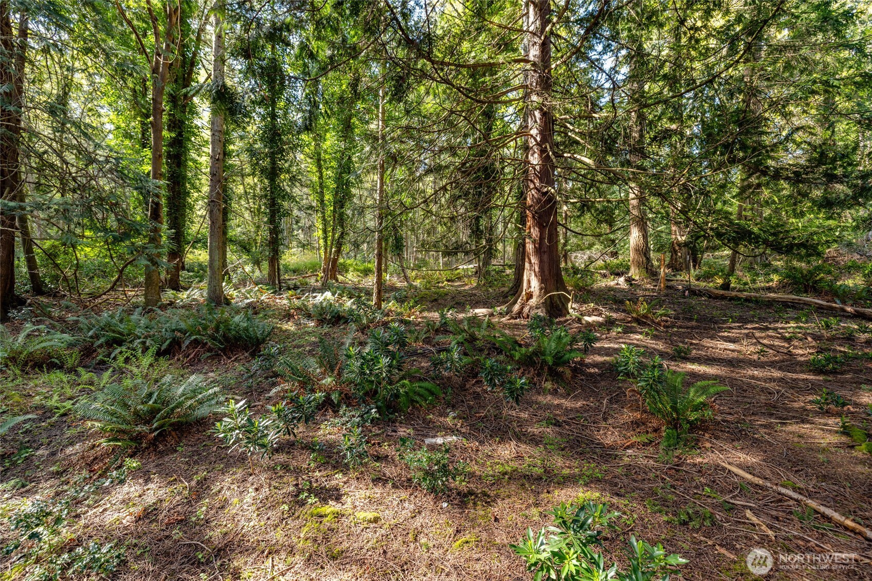 2601 17th Street , Anacortes, WA 98221
