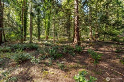 2601 17th Street , Anacortes, WA 98221 - Photo 37