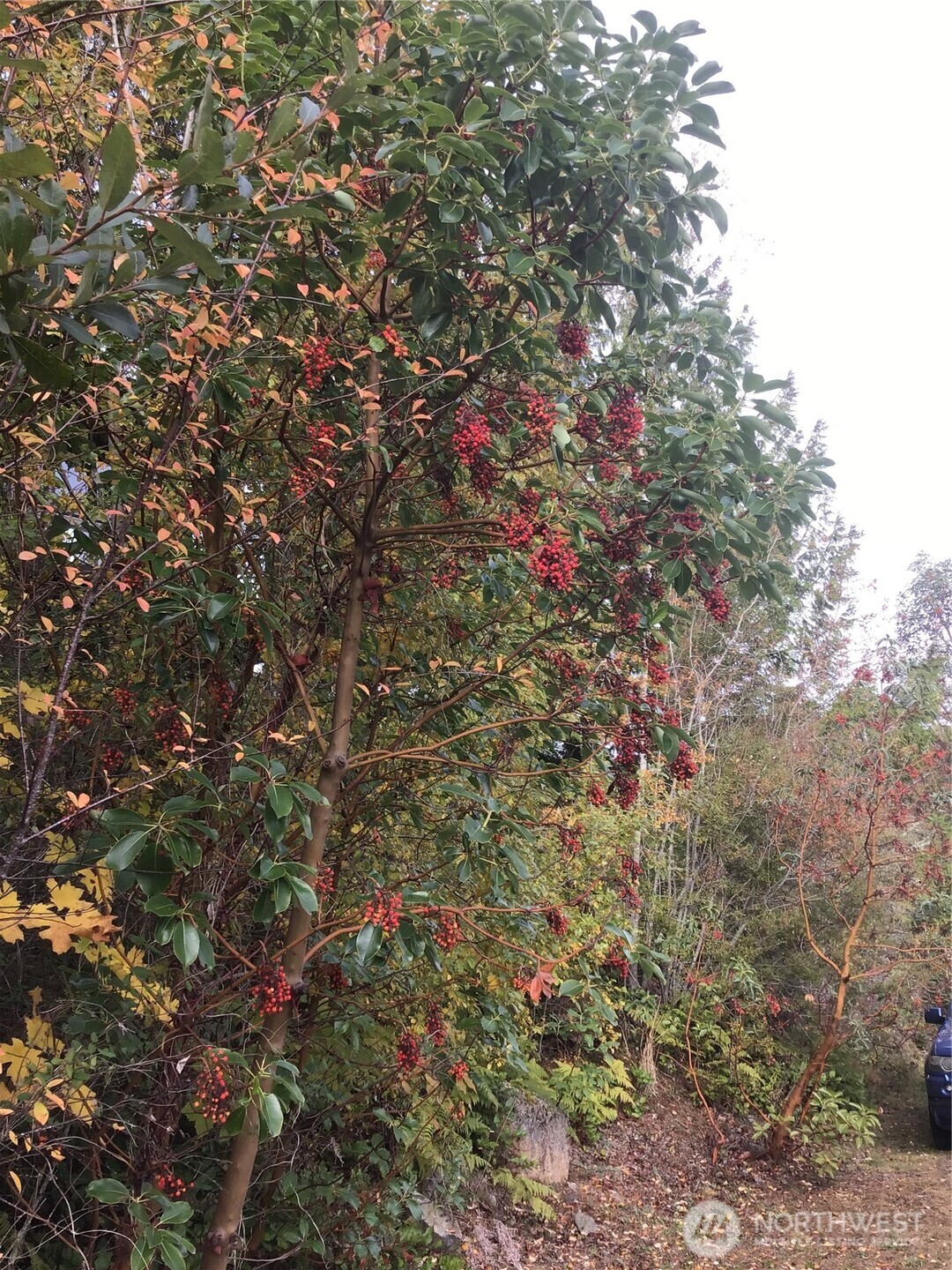 11939 New Morning Drive , Anacortes, WA 98221