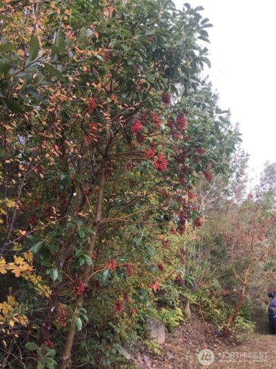 11939 New Morning Drive , Anacortes, WA 98221 - Photo 22