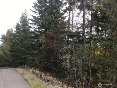 11939 New Morning Drive , Anacortes, WA 98221 - Photo 29