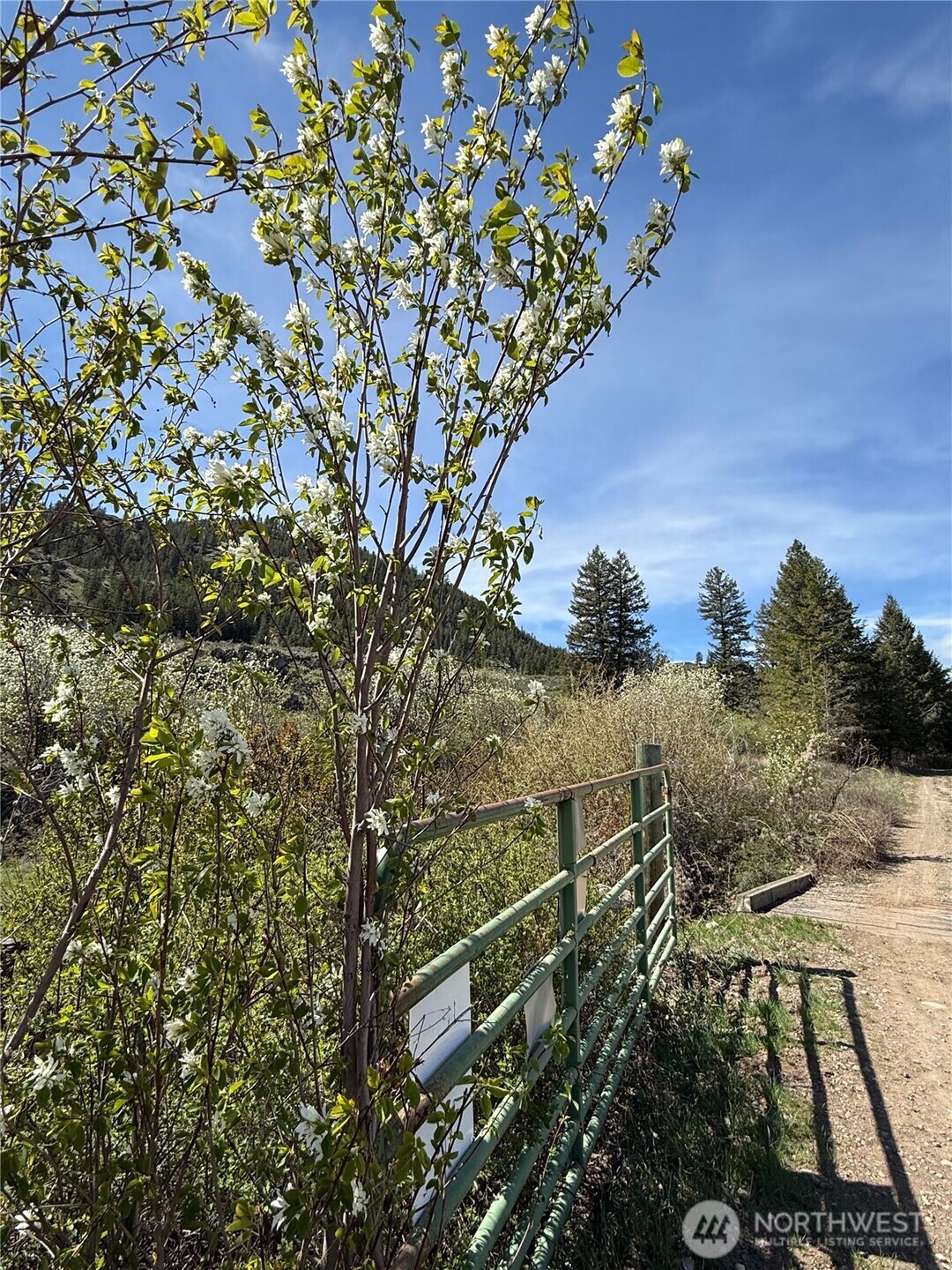 2 x Alder Road , Twisp, WA 98856