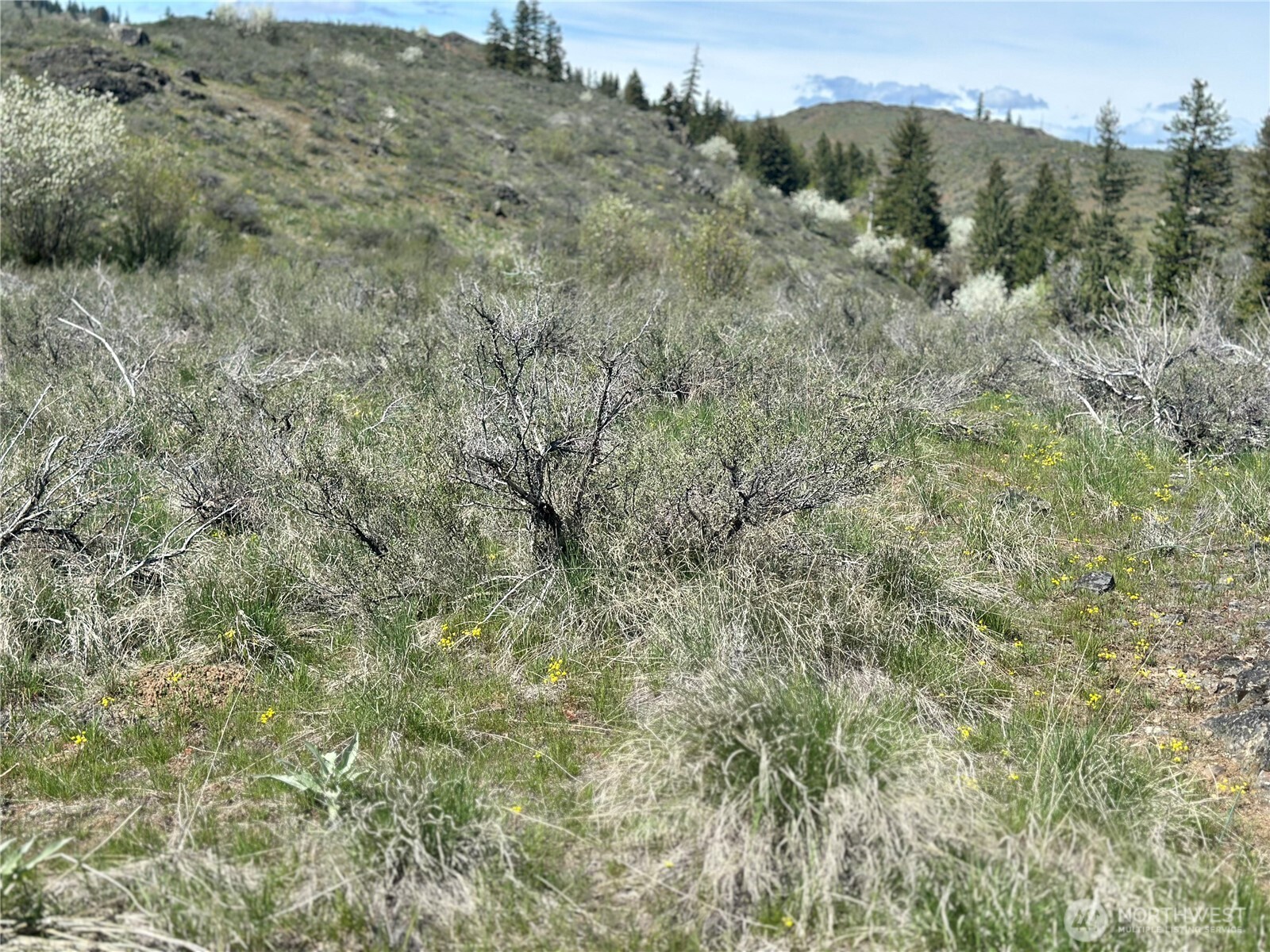 2 x Alder Road , Twisp, WA 98856