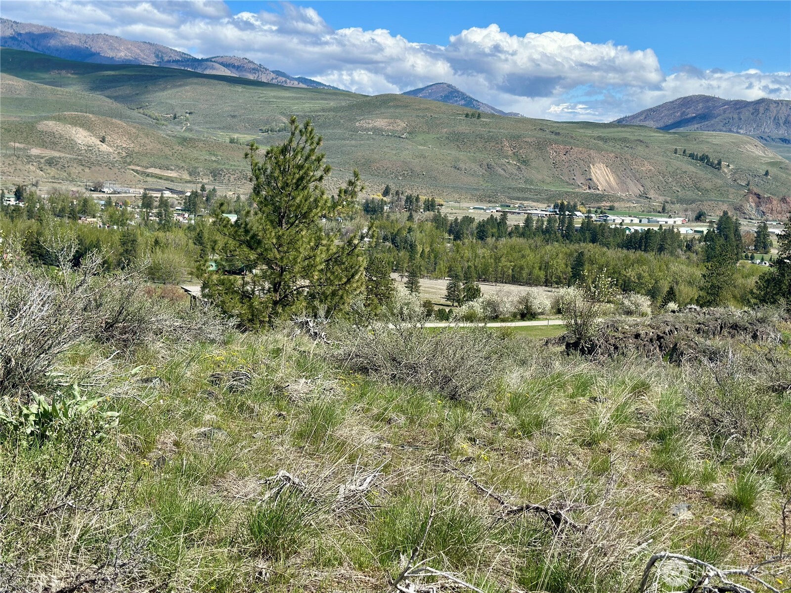 2 x Alder Road , Twisp, WA 98856