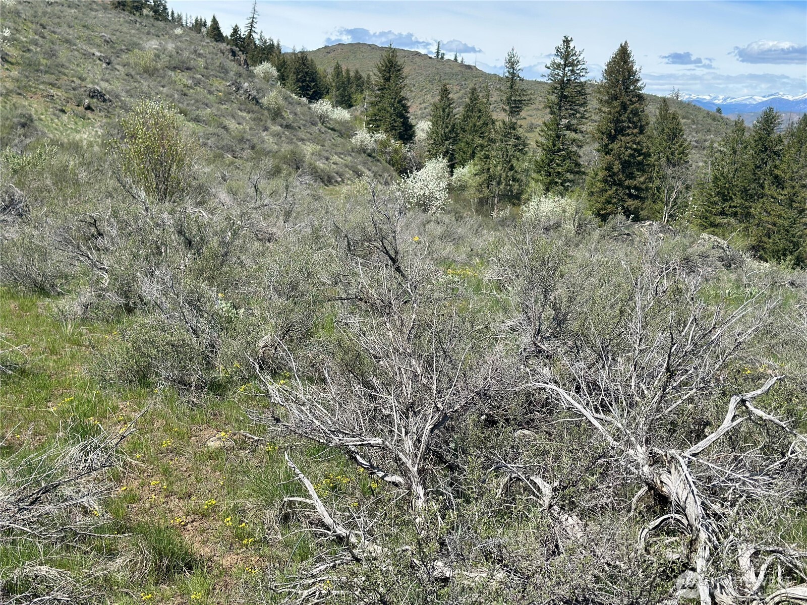 2 x Alder Road , Twisp, WA 98856