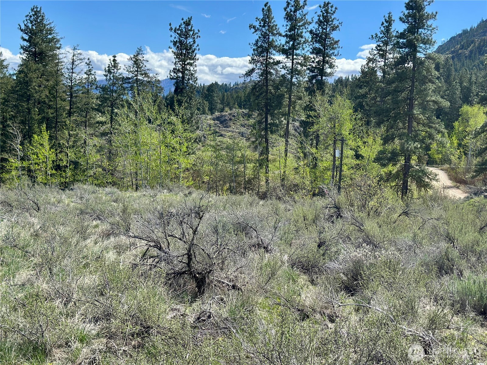 2 x Alder Road , Twisp, WA 98856