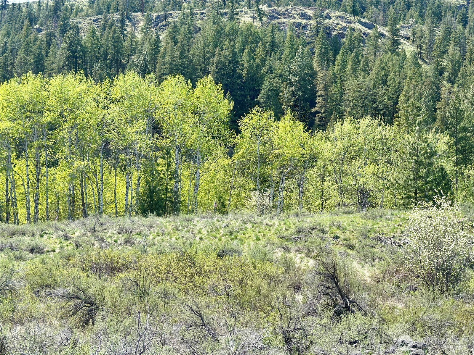 2 x Alder Road , Twisp, WA 98856