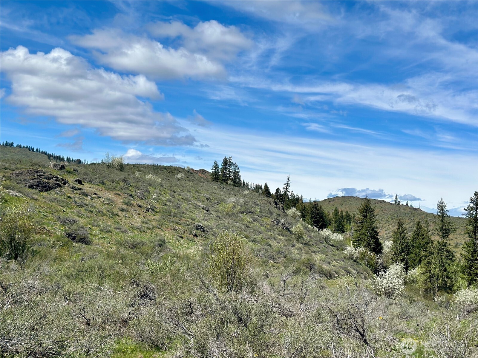 2 x Alder Road , Twisp, WA 98856