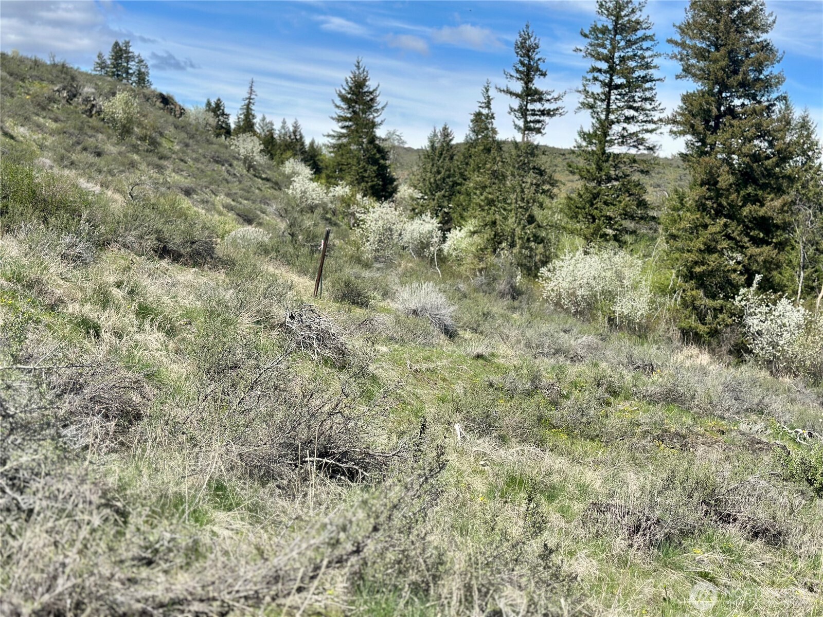 2 x Alder Road , Twisp, WA 98856
