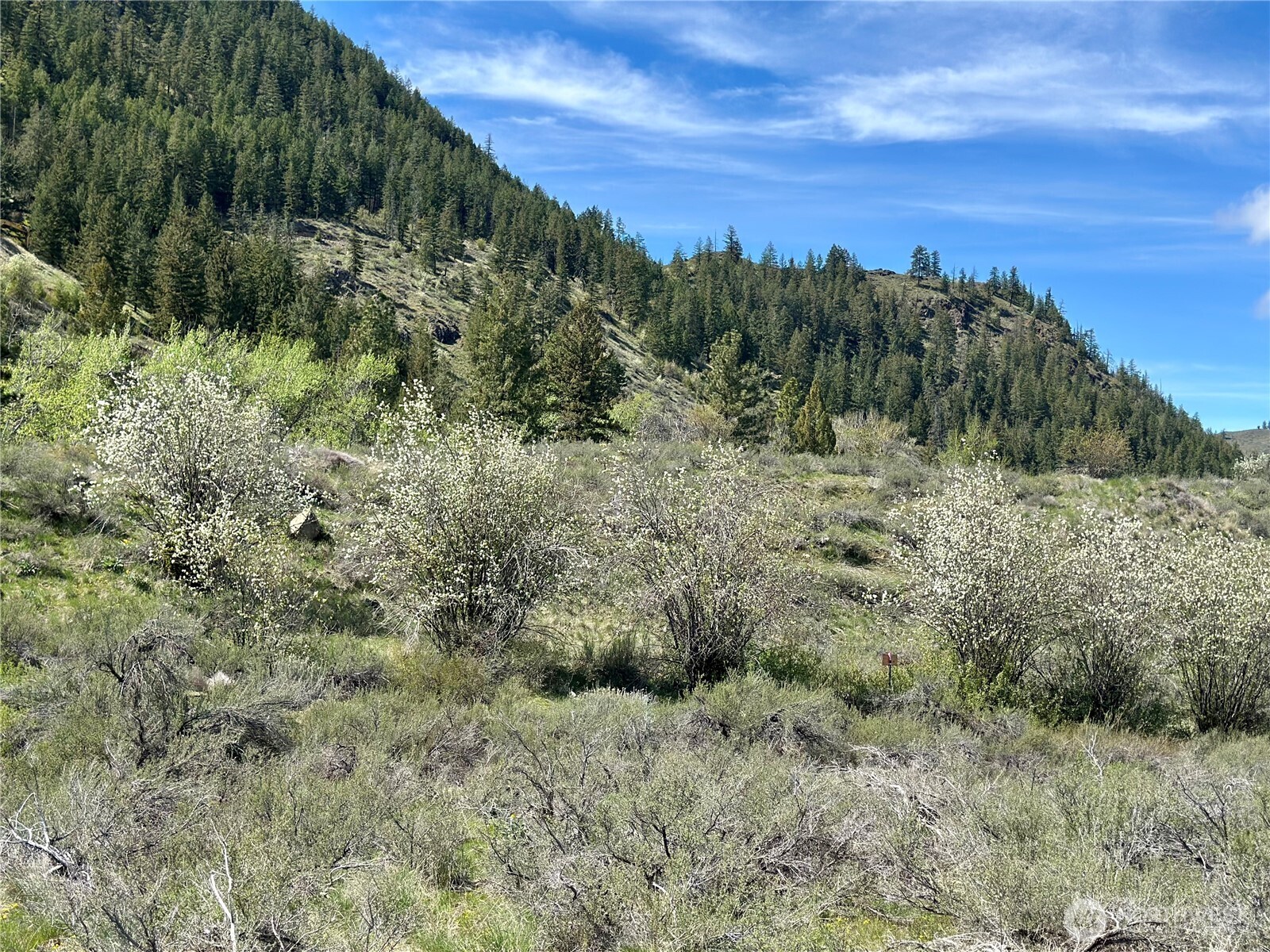 2 x Alder Road , Twisp, WA 98856