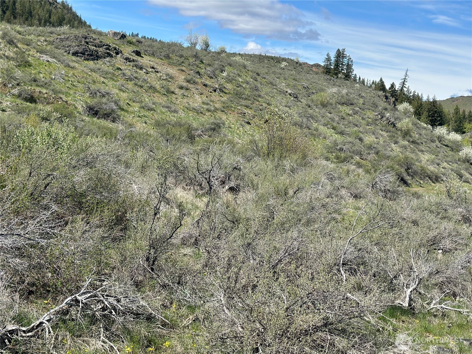 2 x Alder Road , Twisp, WA 98856