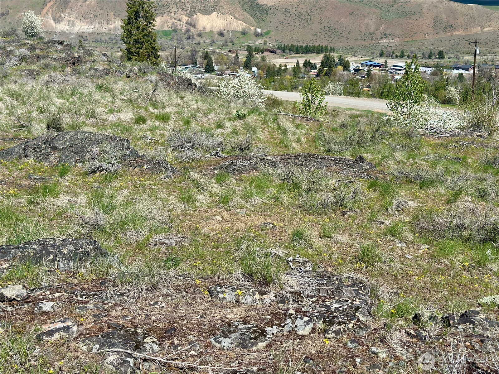 2 x Alder Road , Twisp, WA 98856